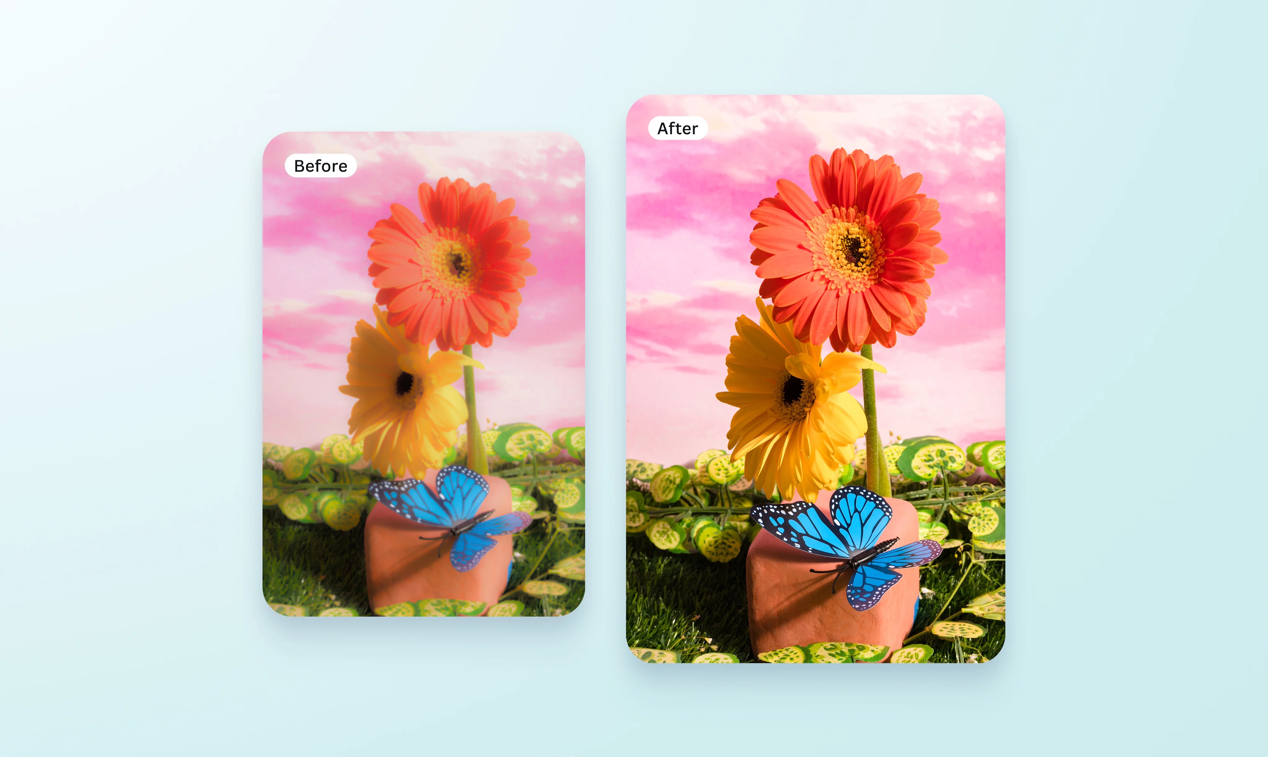 Fotoğraf Bulanıklık Giderme Aracı - Canva