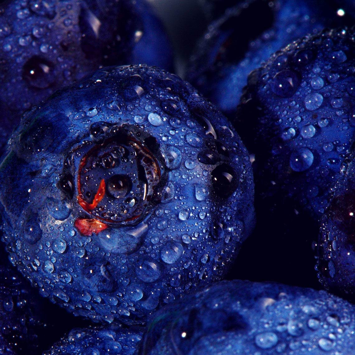 5 Amazing Photo Filters for Food Bloggers