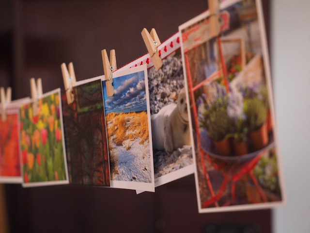 35+ Photo Collage Ideas - Canva