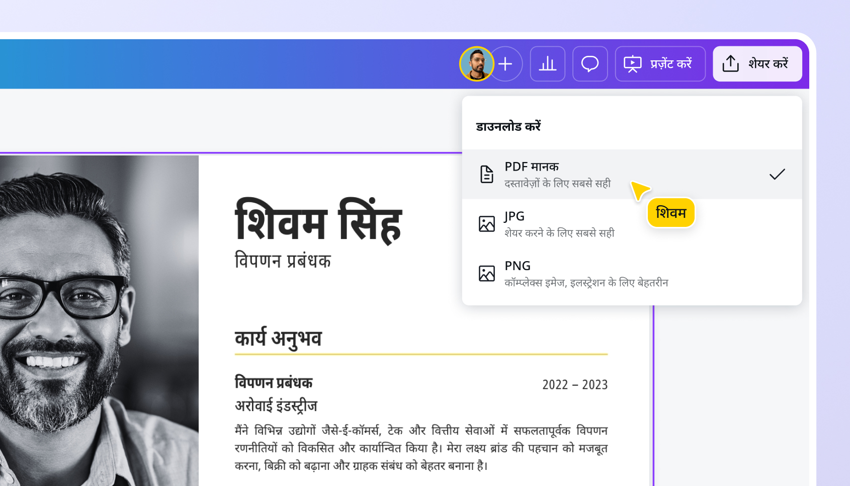 हिंदी में CV