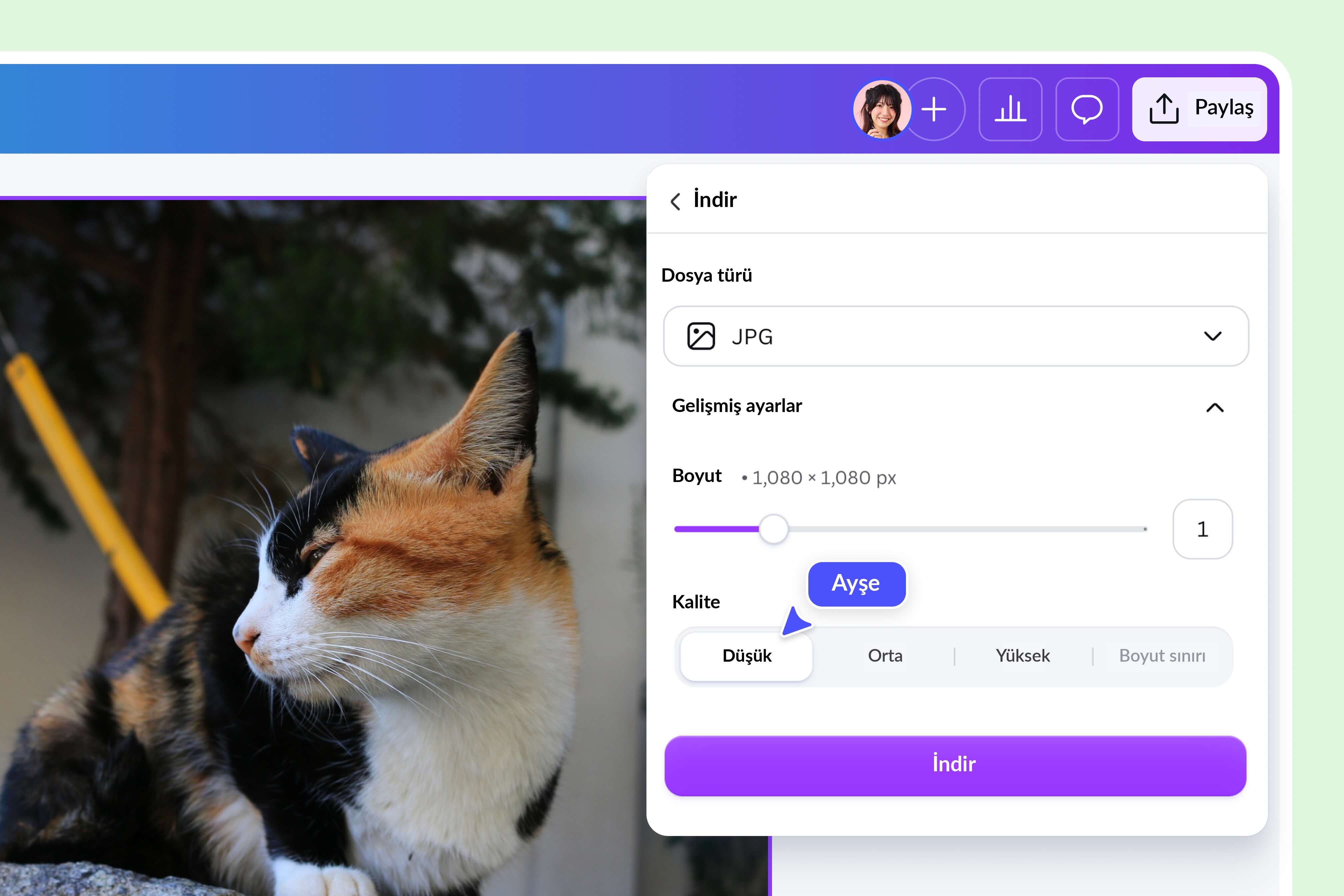 Dosya sıkıştırma ile resim mb küçültme - Canva Dosya sıkıştırma ile resim mb küçültme - Canva