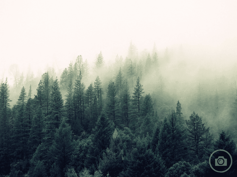 LP_Transparent Images_04