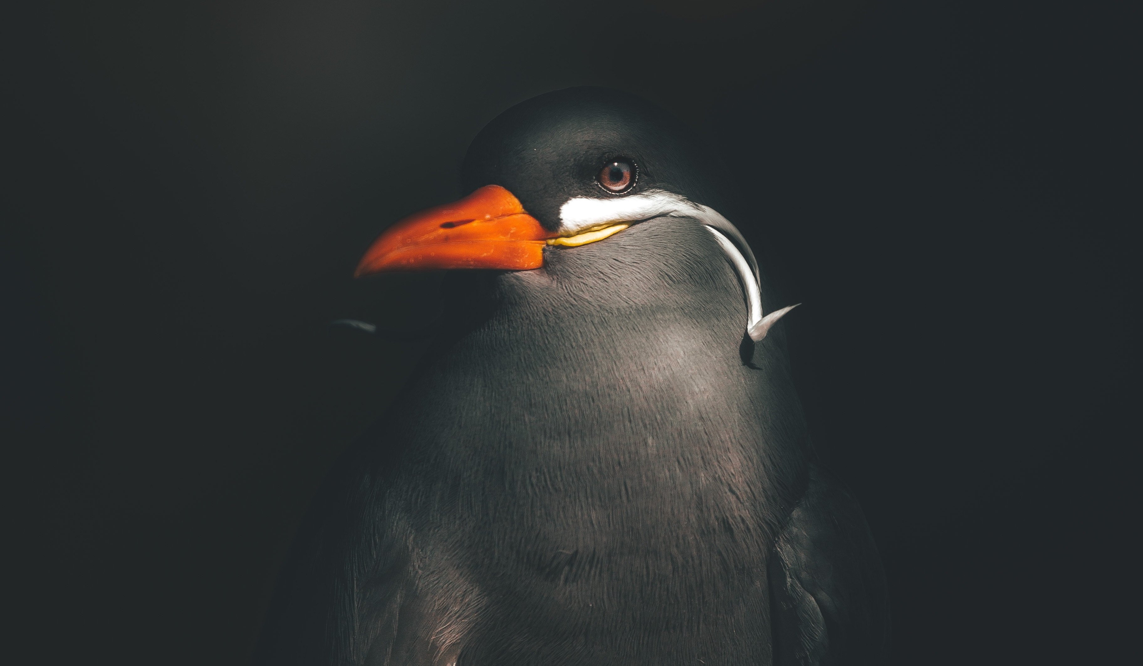 rob-potter-566319-unsplash copy11