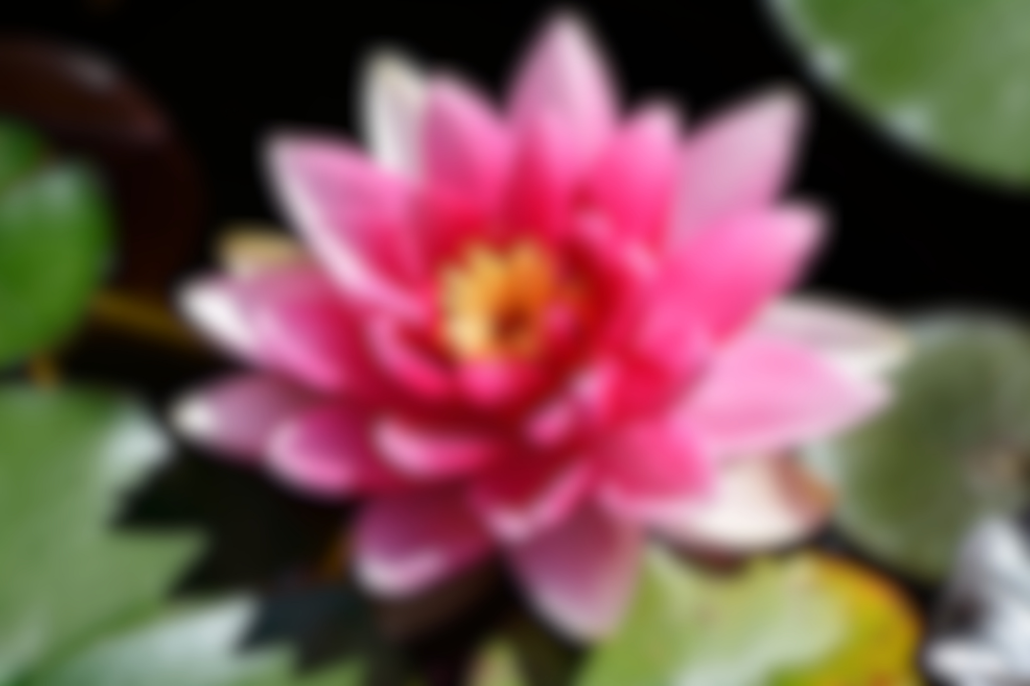 After blurring the image After blurring the image