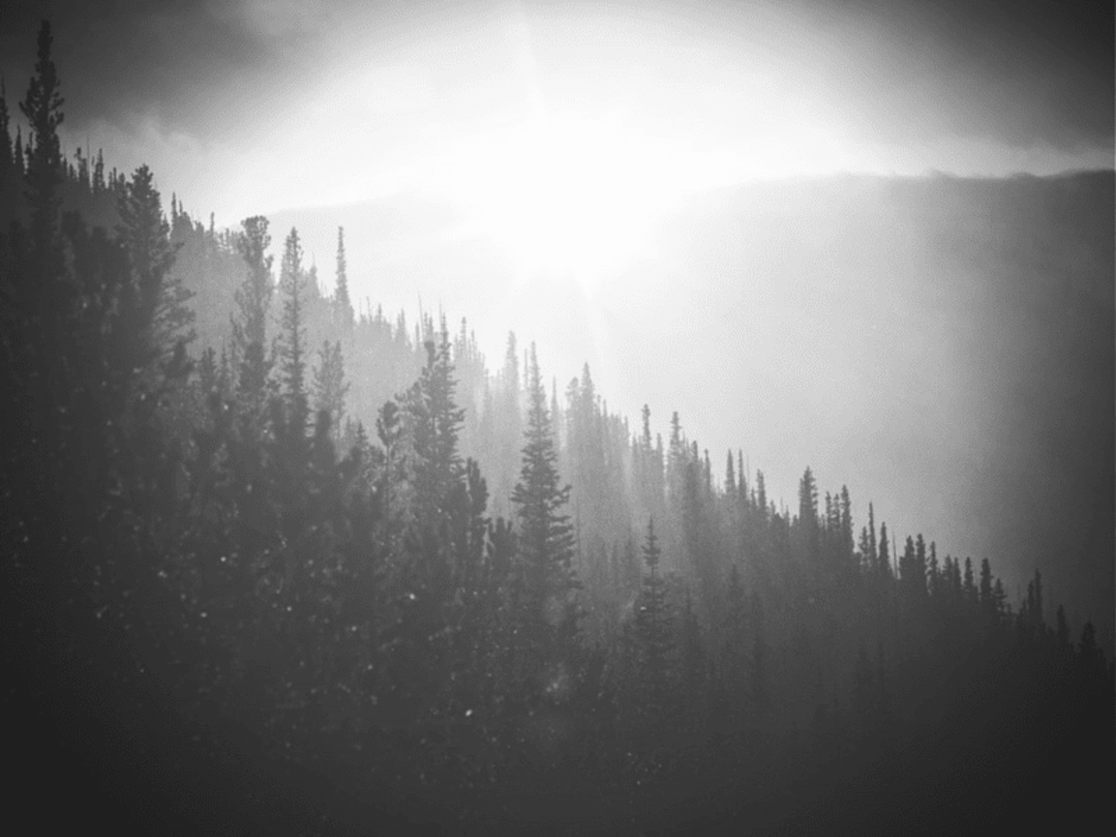 วิธีทำ vignette ลดแสงขอบภาพใน Canva 3