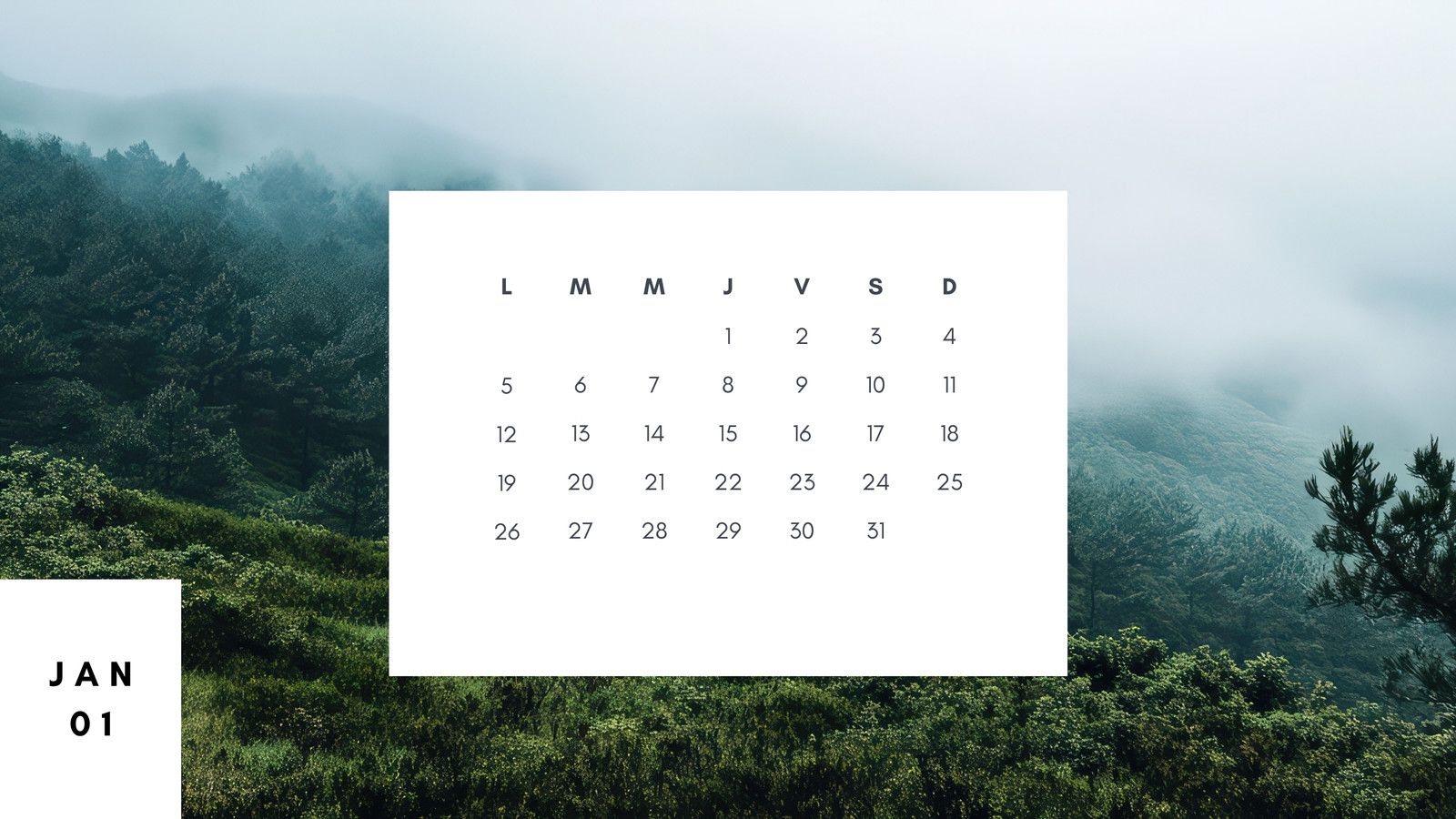 Modèle de calendrier avec photo de forêt Modèle de calendrier avec photo de forêt
