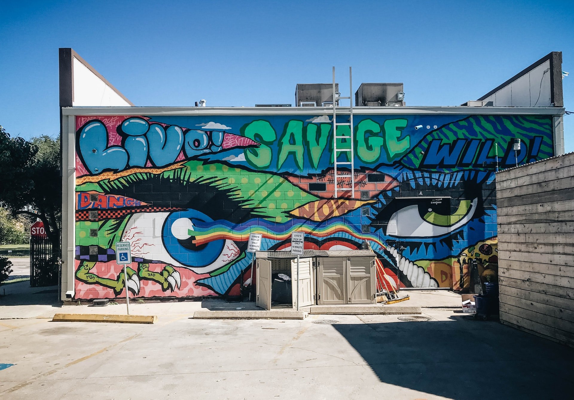 felipe-galvan-ww9H9655D_0-unsplash (1)