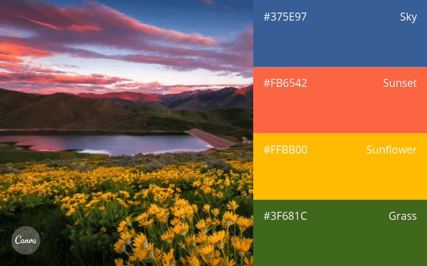 100 color combination ideas and examples | Canva