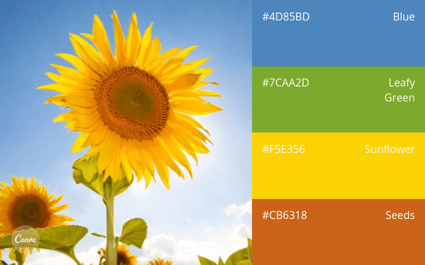 100 color combination ideas and examples | Canva