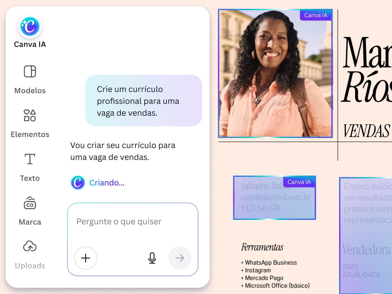 Visualização do Criador de Currículo com IA