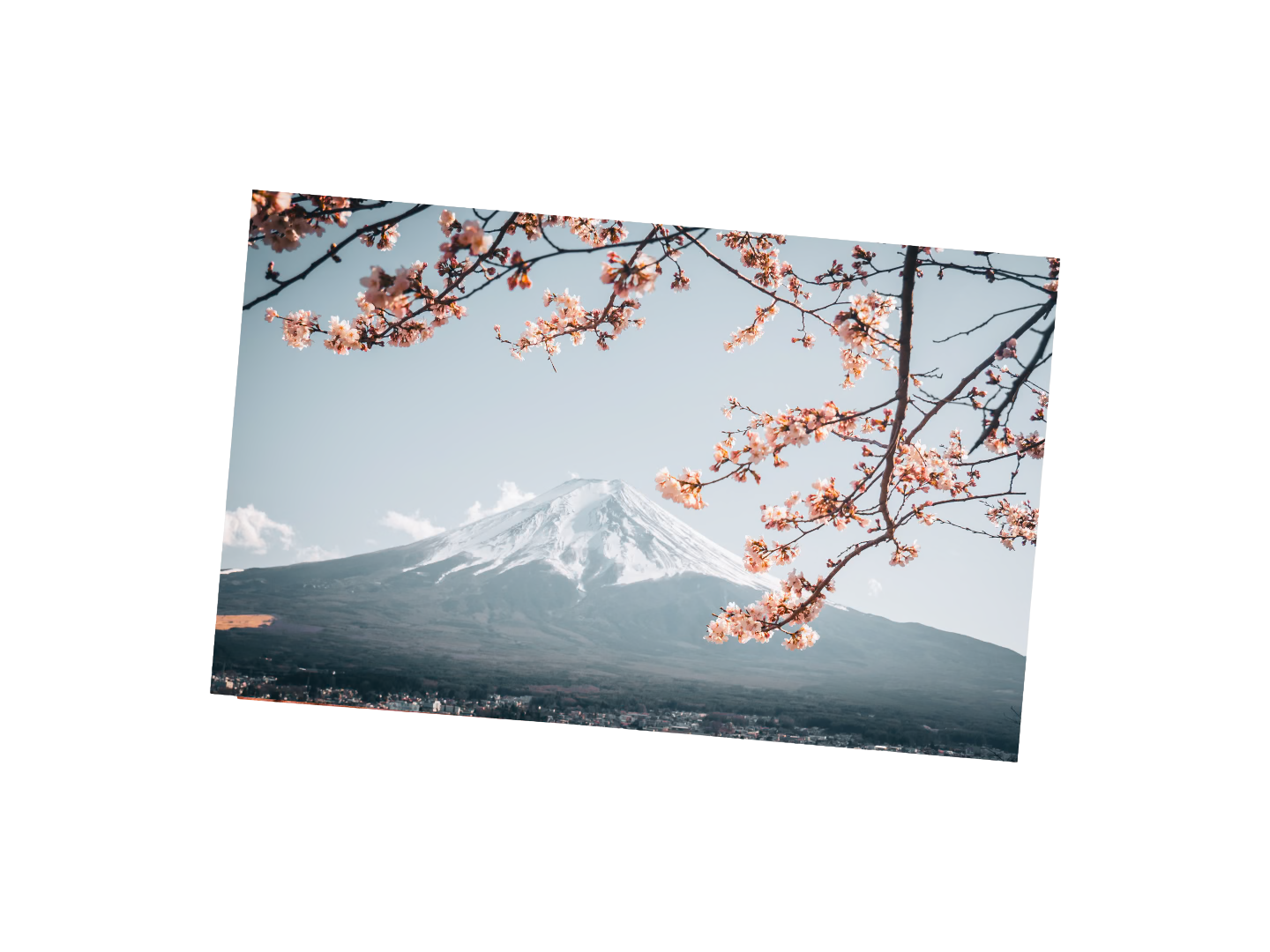 写真ポストカード