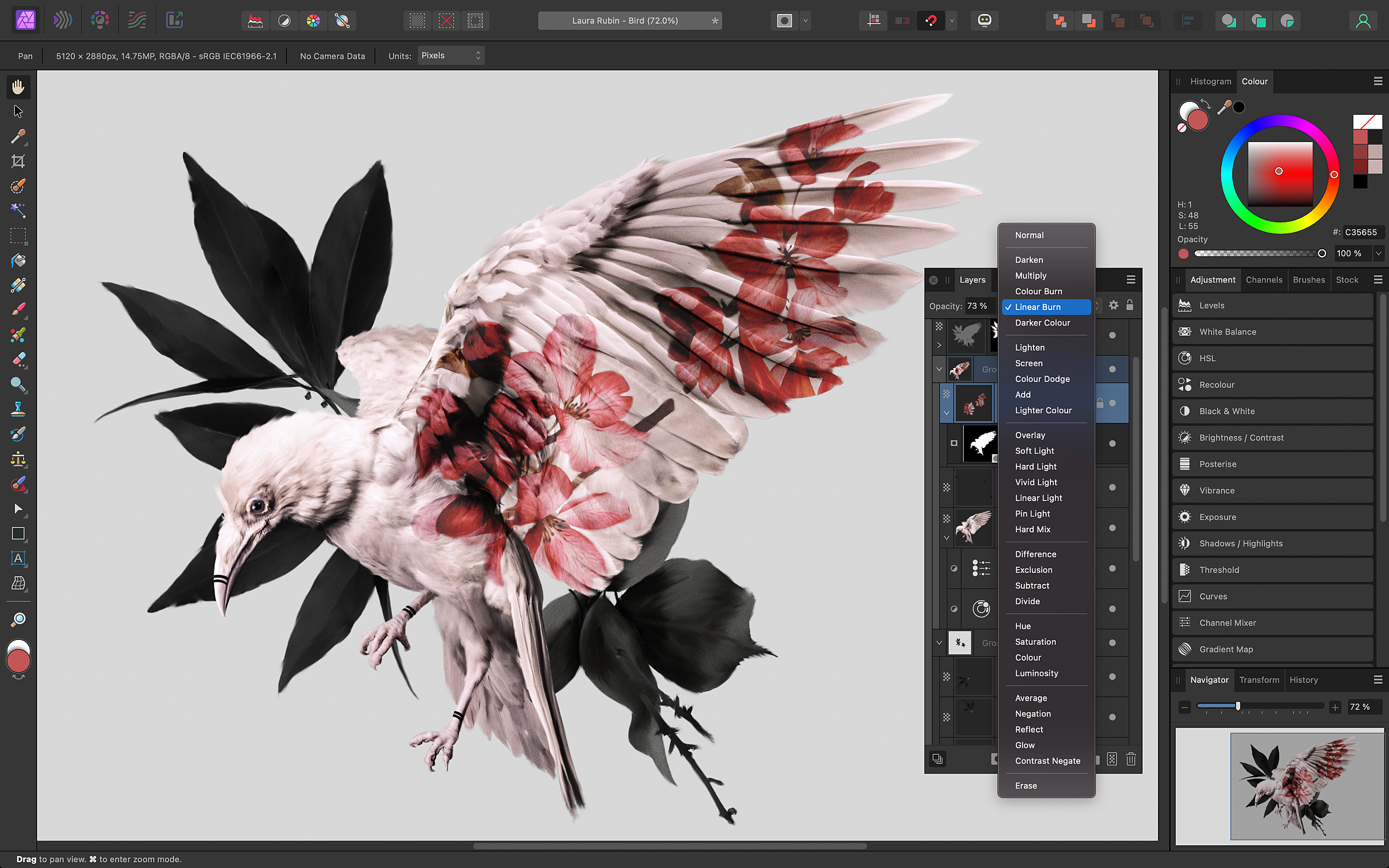 Affinity Editor Welcome to Canva, Affinity!