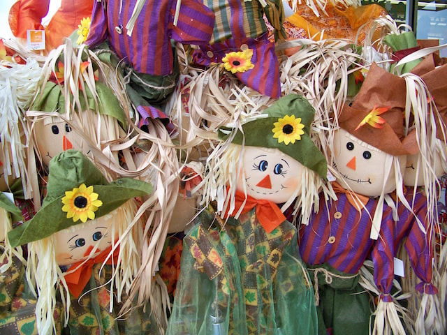 40+ Fall Festival Ideas - Canva