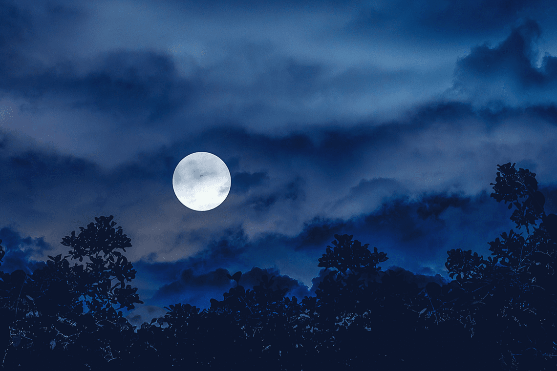 Moon Light Color Color Combination Midnight Moon - Canva's Design Wiki