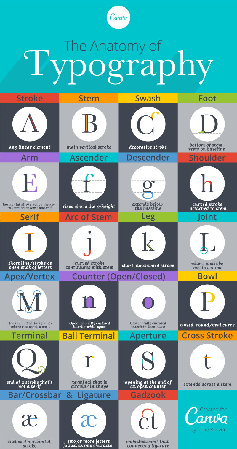 A beautifully illustrated glossary of typographic terms you should | Canva